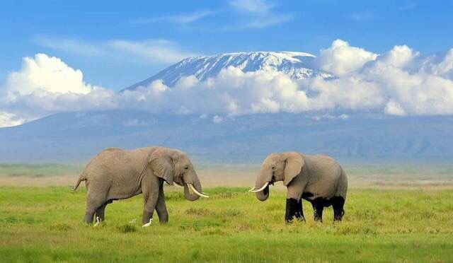 Mount Kilimanjaro